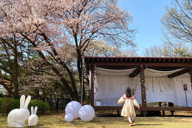 Halal-Nami Island & Central Mosque & Petite France & RailBike - Booking Information