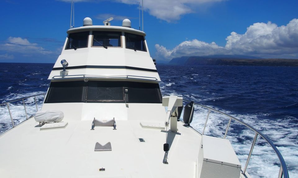 Honolulu: Private Luxury Yacht Cruise With Guide - Common questions