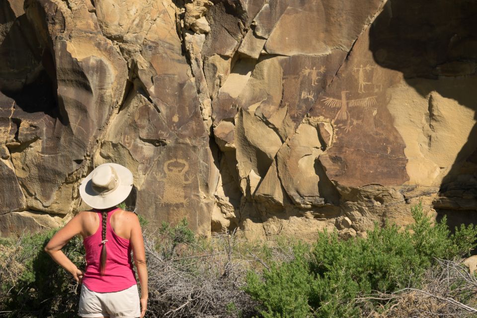 Jackson: Grand Teton, Bighorn Sheep, and Petroglyphs Tour - Activity Details