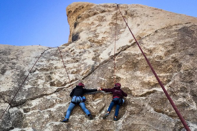 Joshua Tree Small-Group Half-Day Rock-Climbing Experience  - Palm Springs - Sum Up