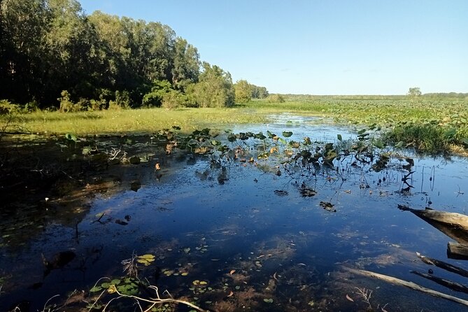 Kakadu Day Tour-Yellow Water-Nourlangie-Ubirr-Cahills-Fogg Dam - Common questions