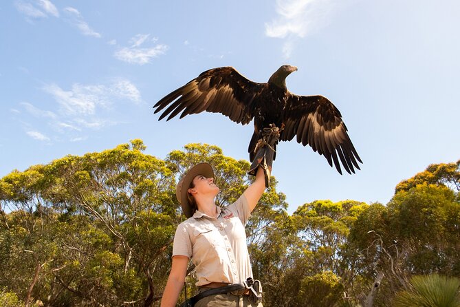 Kangaroo Island Iconic Sights and Wildlife Full-Day Tour - Sum Up