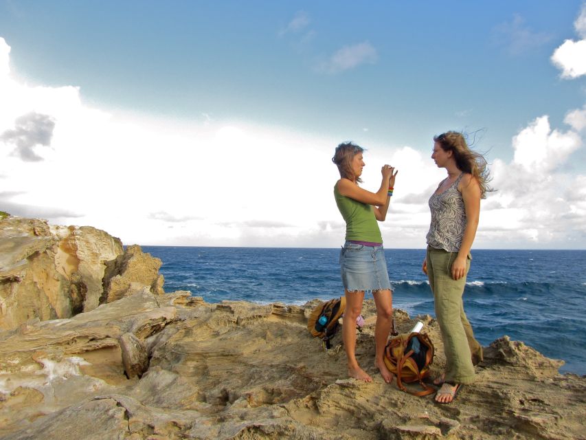 Kauai: Private Tortoises, Caves, and Cliffs South Shore Hike - Conservation Efforts and Impact