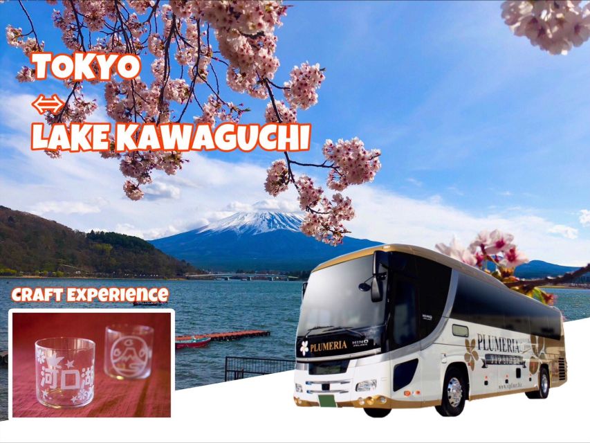 Lake Kawaguchi From Tokyo Express Bus Oneway/Roundway - Common questions