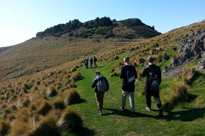 Lyttelton Shore Excursion -Guided Hiking Tour Packhorse Hut - Sum Up