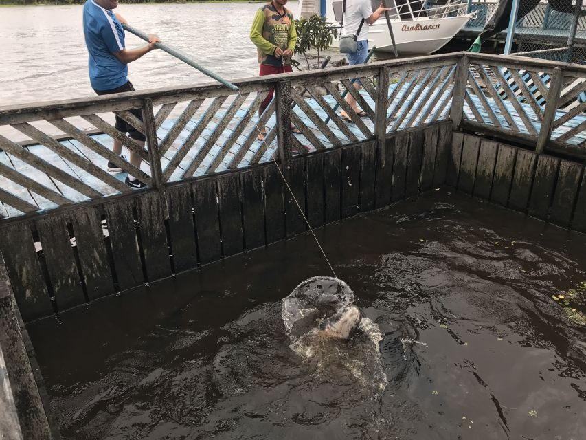 Manaus: Old City Guided Tour Plus Amazon River Boat Tour - Common questions