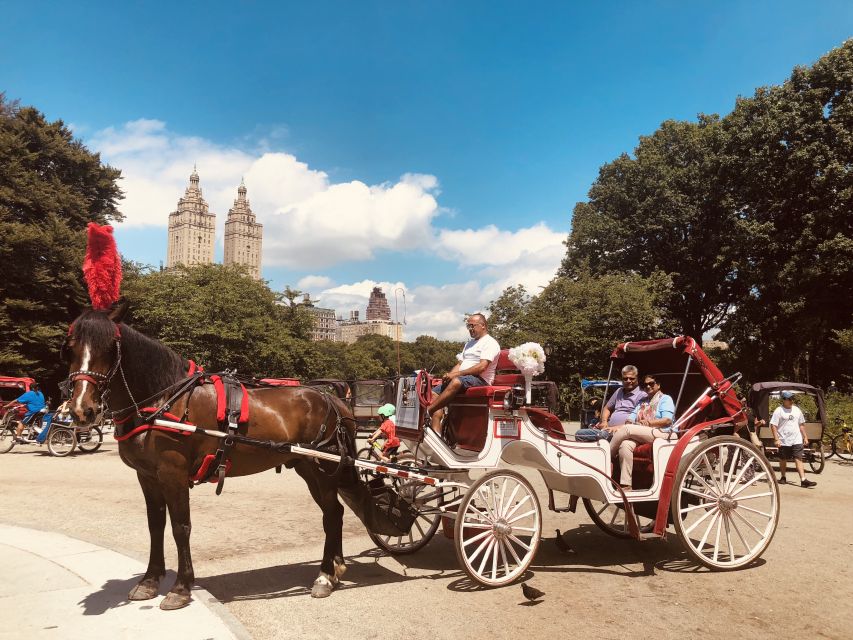 Manhattan: VIP Private Horse Carriage Ride in Central Park - Customer Reviews and Location