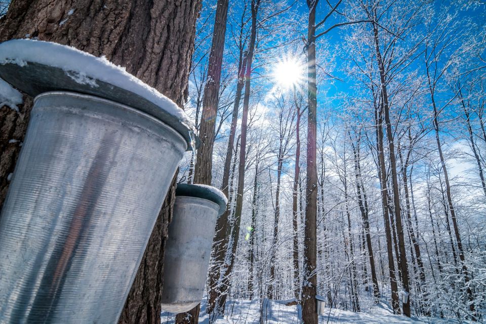 Montreal: Sugar Shack Maple Syrup Day Trip With Lunch - Sum Up