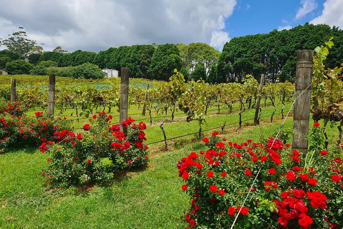 Mount Tamborine Wine Tasting Tour From Brisbane or the Gold Coast - Tour Logistics