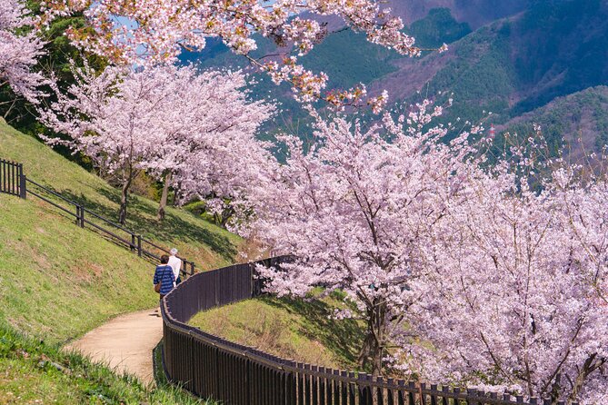 Mt. Fuji Cherry Blossom One Day Tour From Tokyo - Important Reminders