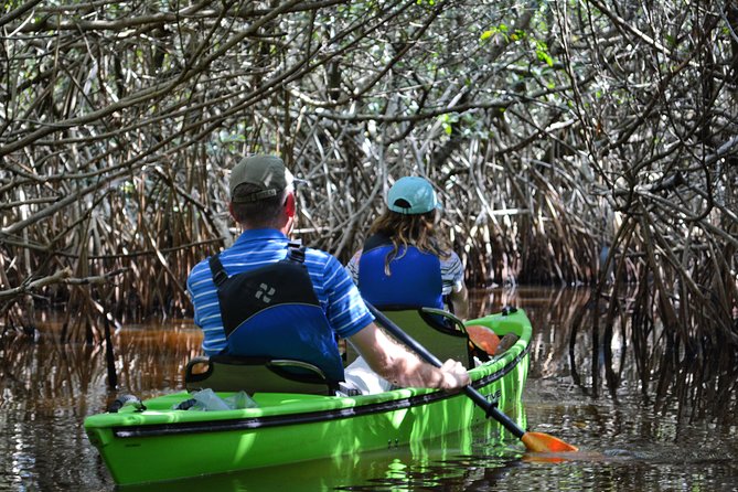 Naples Small-Group Half-Day Everglades Kayak Tour - Language Support & Communication