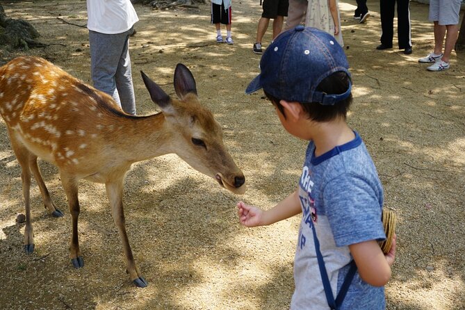 Nara Half Day Walking Tour - Contact and Support