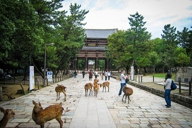 Nara World Heritage Todaiji Visit and Naramachi Tour - Additional Tips