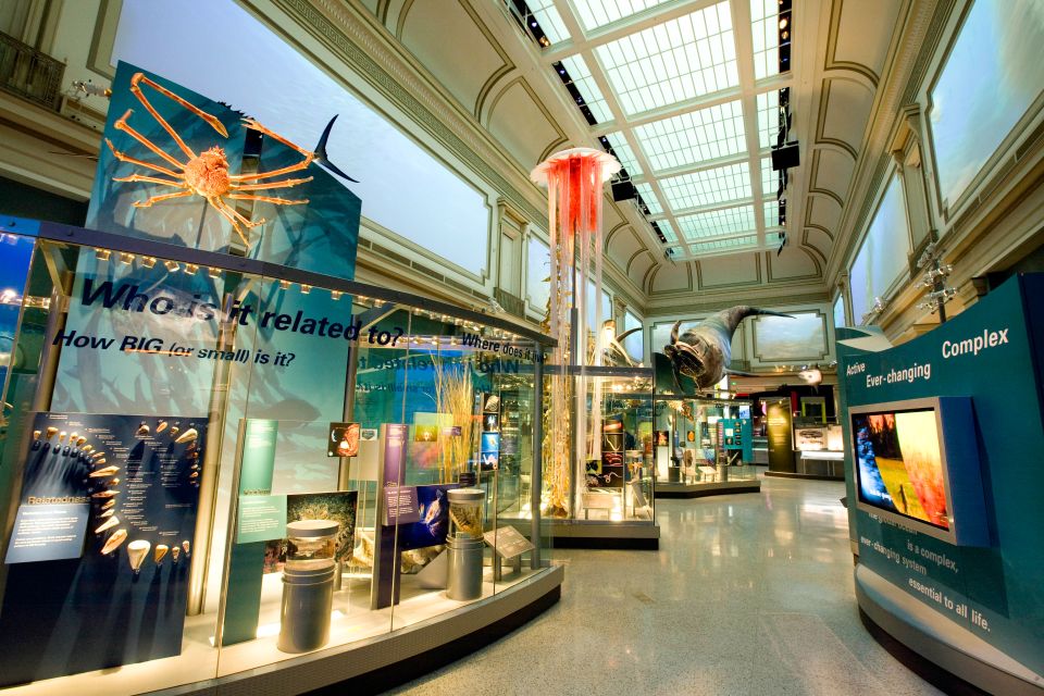 National Museum of Natural History Guided Tour - Directions