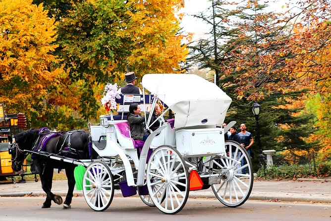 New York City: Central Park Private Horse-and-Carriage Tour - Operator Information