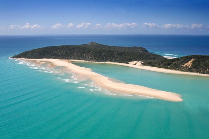 Noosa to Double Island Point Kayaking With Dolphins Day Trip  - Noosa & Sunshine Coast - Common questions