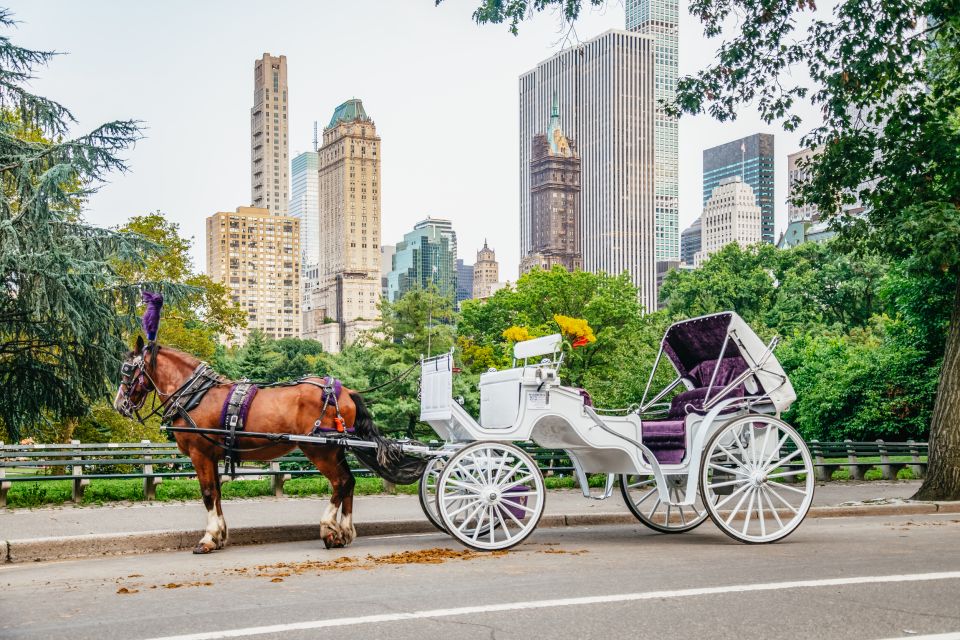 NYC: Guided Central Park Horse Carriage Ride - Reviews