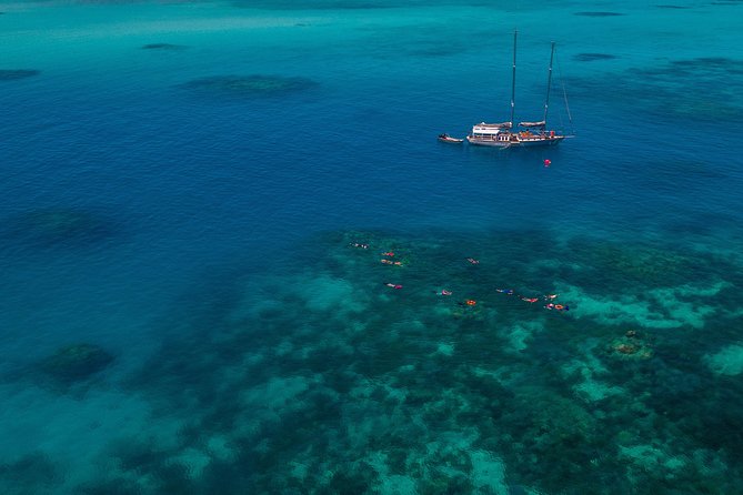 Ocean Free Green Island and Great Barrier Reef Snorkel Cruise - Sum Up