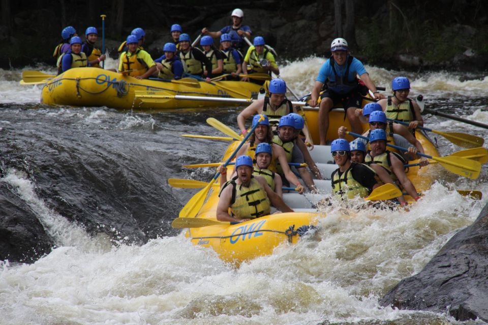 Ottawa River: White Water Rafting With BBQ Lunch - Reviews and Recommendations