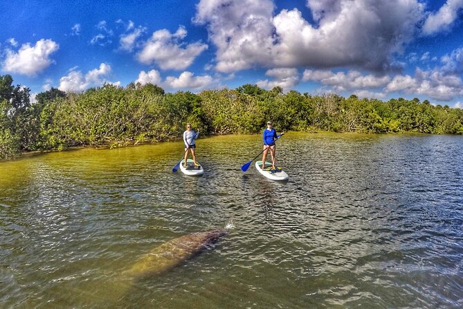 Paddle Boarding Eco Adventure Tour Jupiter Florida - Singer Island - Booking and Refund Policies