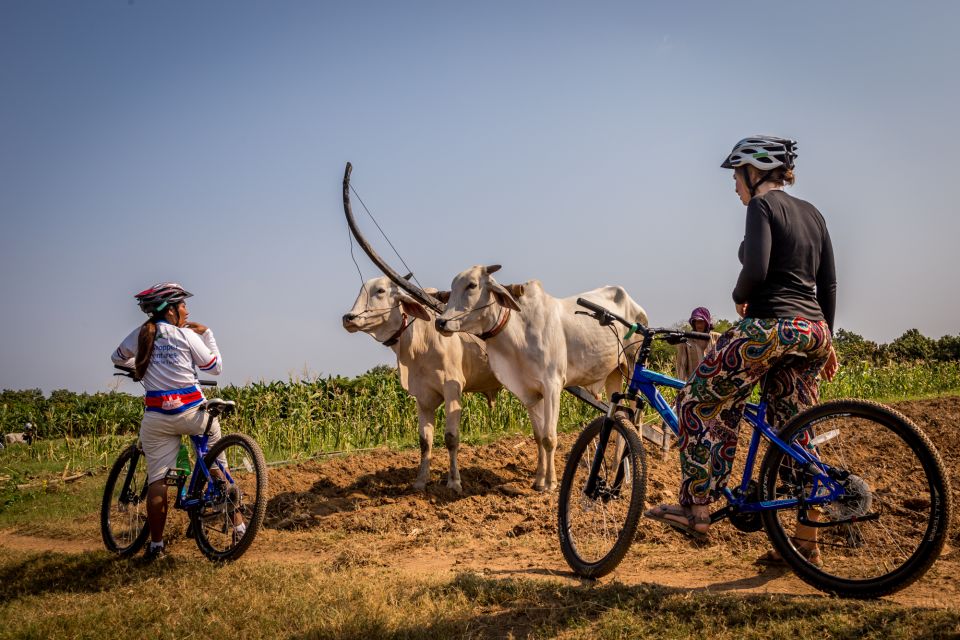 Phnom Penh: Mekong Islands & Silk Islands Guided Bike Tour - Directions and Recommendations