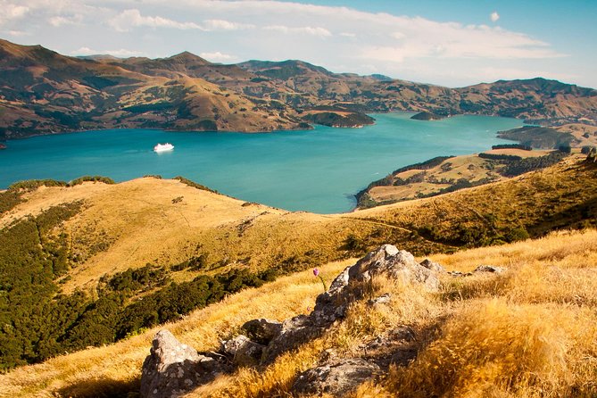 Private Day Scenic Excursion to Akaroa/Christchurch Ex Lyttelton - Common questions