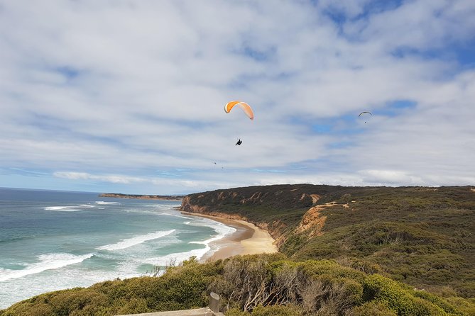 Private Great Ocean Road Day Trip From Melbourne - Sum Up