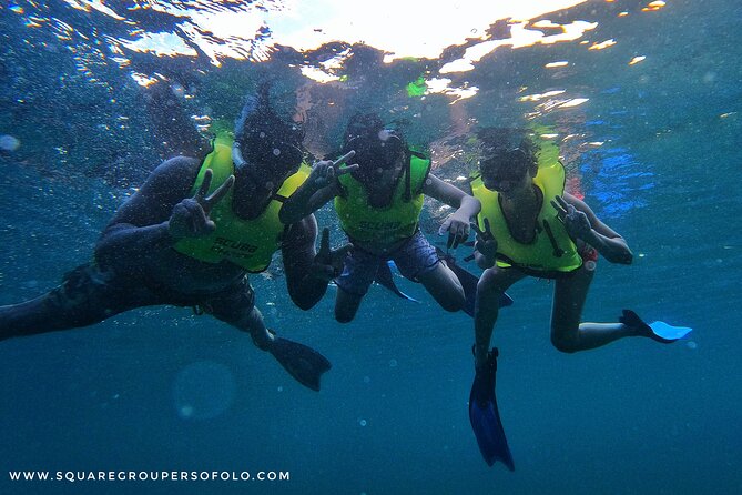 Private Guided Snorkel Tour of Fort Lauderdales Reef