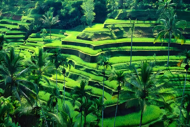 Private Half-Day Tour : Ubud Waterfall Tour With Lunch Packages - Common questions