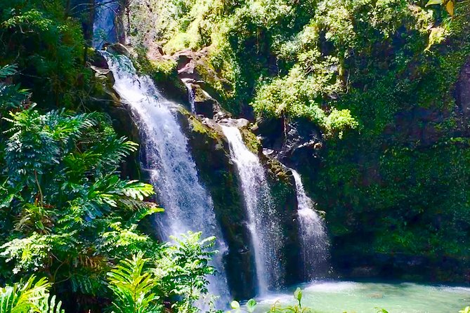 Private Road to Hana Tour - Pickup Information and Cancellation Policy
