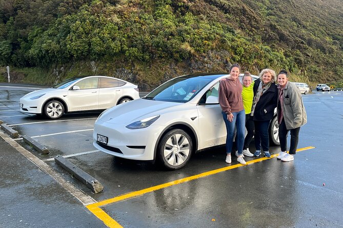 Private Tandem Tesla Tour to Martinborough Vineyards - Common questions