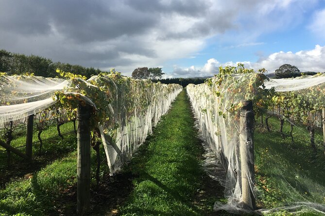 Private Wairarapa Wine Delights Tour From Wellington - Sum Up