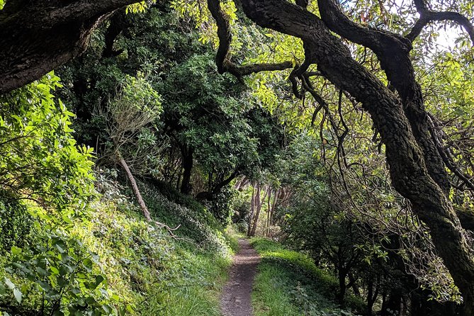 Remutaka Rail Trail Mountain Bike Explorer Cycle Tour - Sum Up