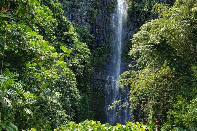 Road to Hana Adventure in Maui- Private - Just for Your Group - Private Guided Tour Highlights