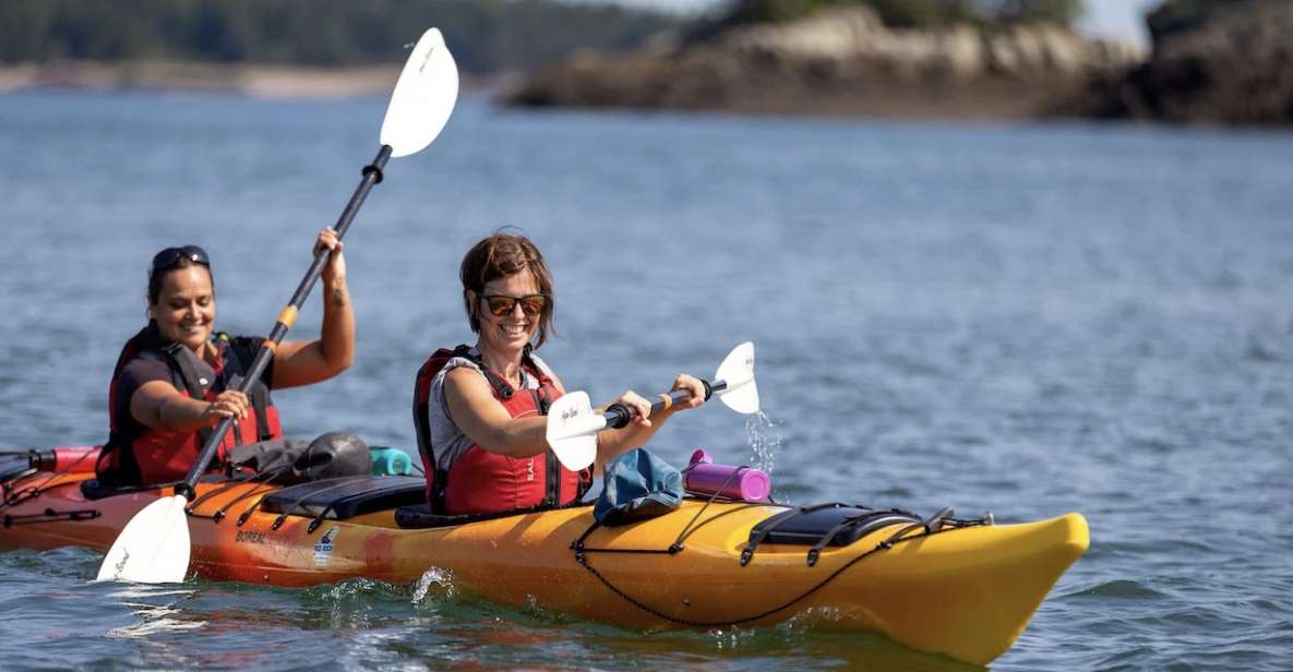 Saint John: Bay of Fundy Guided Kayaking Tour With Snack - Sum Up