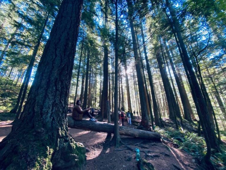 Seattle: Sensory Hike in Twin Fall for Adventurous Families