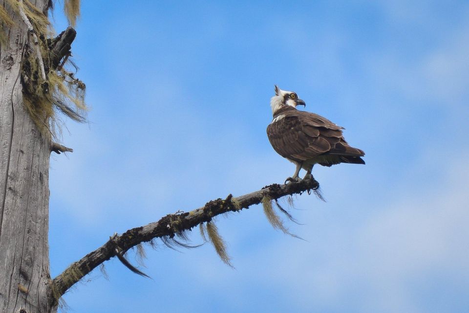 Seattle: Whidbey Island Deception Pass Winter Birding Trip - Common questions