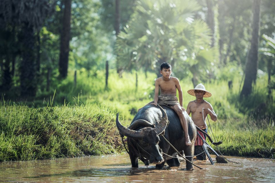 Siem Reap: Countryside Bike Tour With Guide and Local Snacks - Sum Up