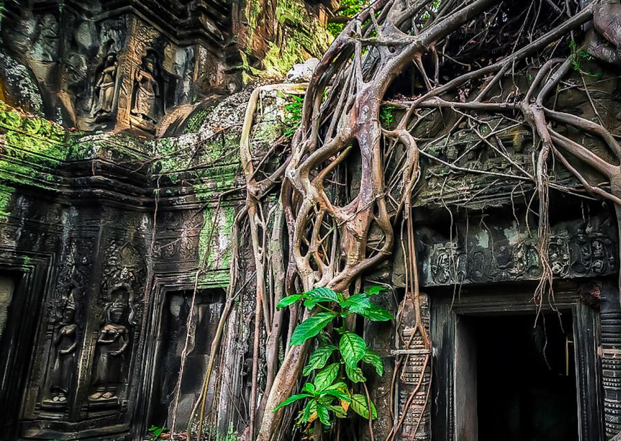 Siem Reap: Private Guided Day Trip to Angkor Wat With Sunset - Highlights and Itinerary