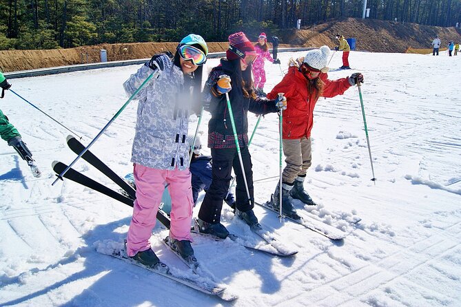 Snow or Ski Day Trip to Elysian Ski Resort From Seoul - No Shopping - Sum Up