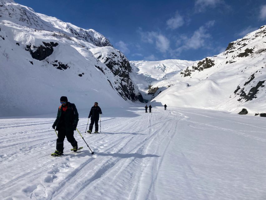Snowmobile and Snowshoe Dual Adventure From Seward, AK - Activity Details