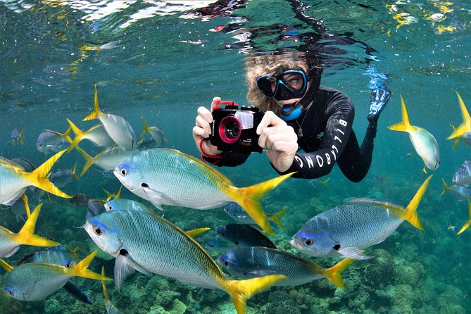 Sunlover Reef Cruises Cairns Great Barrier Reef Experience - Customer Feedback