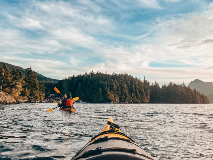 Telegraph Cove: 2 Hour Evening Kayak Tour - Common questions