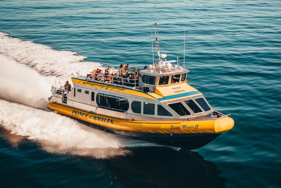 Telegraph Cove: Half-Day Whale Watching Tour - Customer Service and Amenities