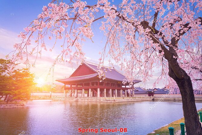 The Beauty of the Korea Cherry Blossom Discover 11days 10nights - Sum Up