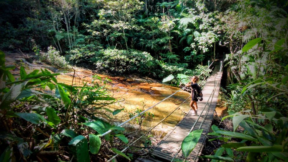 Tijuca Forest: Adventure & History Half-Day Hike - Common questions