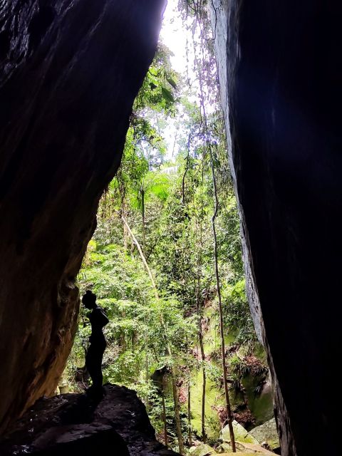 Tijuca Forests Hike: Caves, Waterfalls and Great Views - Common questions