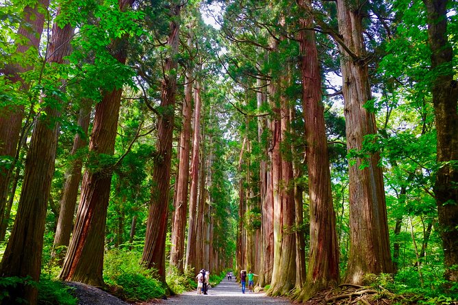 Togakushi Shrine Hiking Trails Tour in Nagano - Sum Up