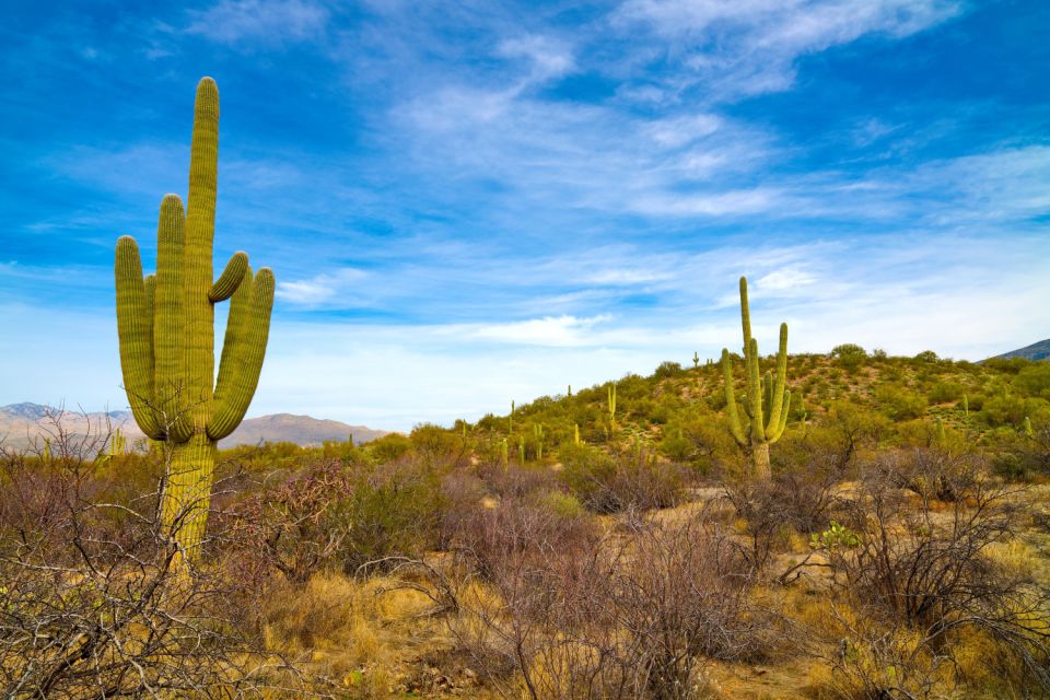 Tucson: Mt Lemmon & Saguaro NP Self-Guided Bundle Tour - Directions