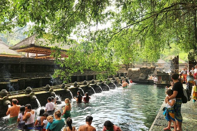 Ubud and Kintamani Nature Tour With Private Driver/Guide - Pricing Information